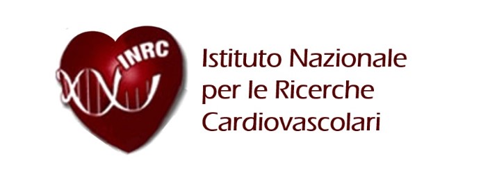 Cliente DreamCom