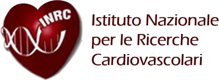 Cliente DreamCom