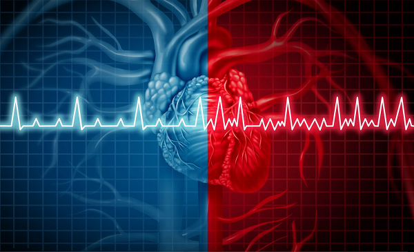 Medico che analizza un tracciato elettrocardiografico