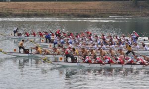 DRAGONBOAT