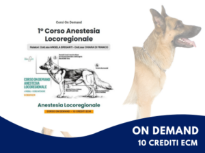 anestesia locoregionale