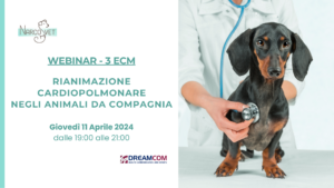 rianimazione cardiopolmonare