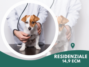 neonatologia veterinaria