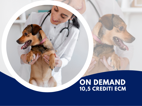 Copertina Emogasanalisi in Medicina Veterinaria