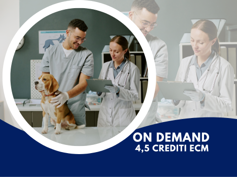 Copertina EcoFocus Cardiocircolatorio e Toracico nel Paziente Veterinario