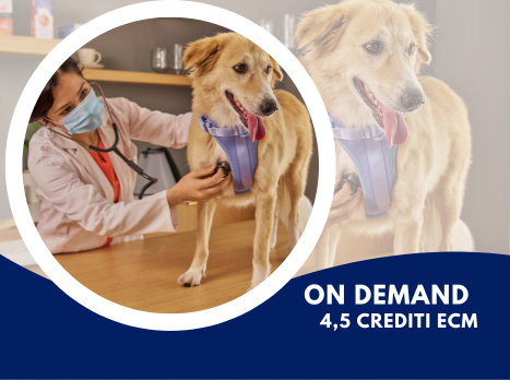 Copertina Paziente cardiopatico anestesia e terapia intensiva a confronto